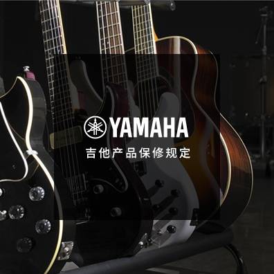 吉他、贝斯和音箱